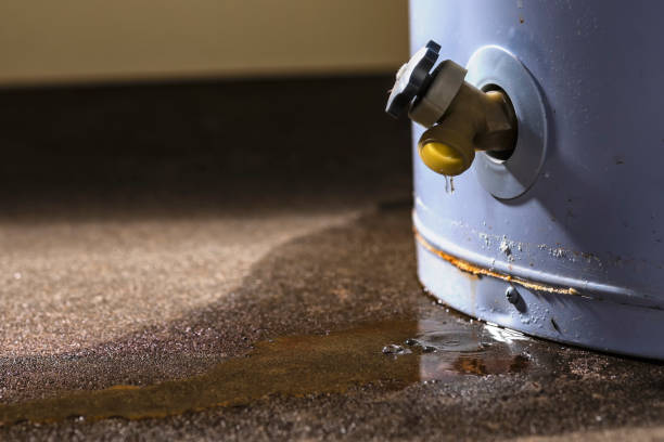 Best Water damage contractors near me  in Lovington, IL