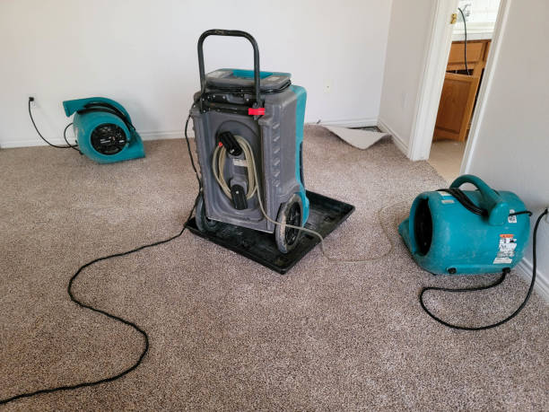 Best Water damage cleanup near me  in Lovington, IL