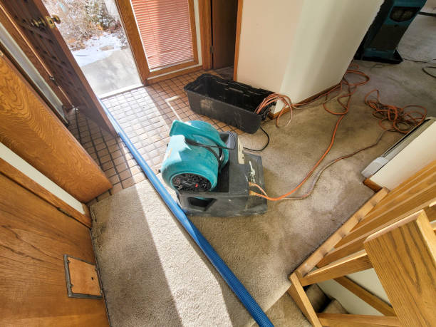 Best Water damage restoration experts  in Lovington, IL