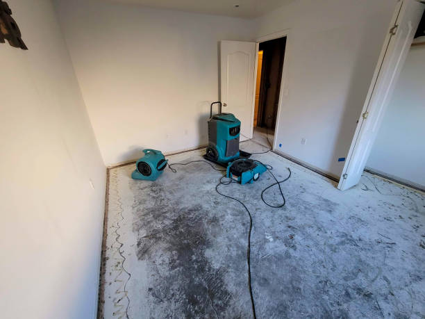 Reliable Lovington, IL Water damage restoration Solutions
