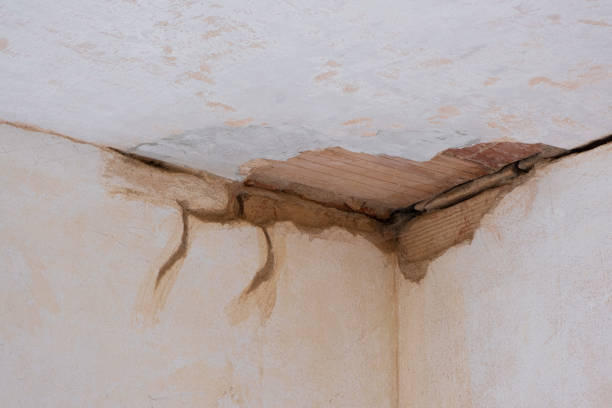 Best Commercial water damage restoration  in Lovington, IL