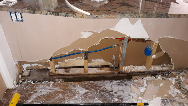 Best Mold removal after water damage  in Lovington, IL