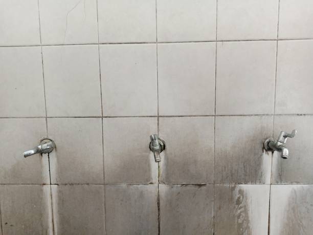 Best Water damage restoration near me  in Lovington, IL