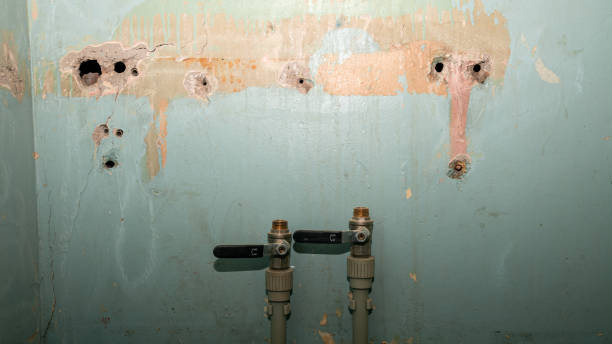 Water damage restoration experts in Lovington, IL