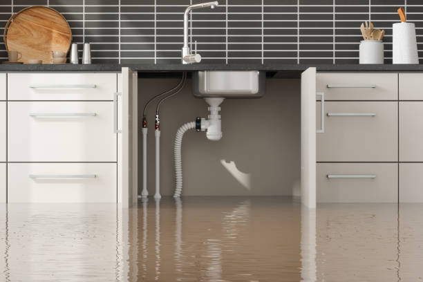 Best Carpet water damage restoration  in Lovington, IL