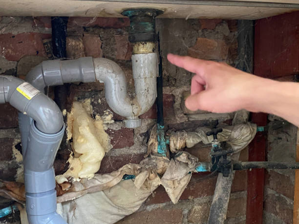 Best Carpet water damage restoration  in Lovington, IL