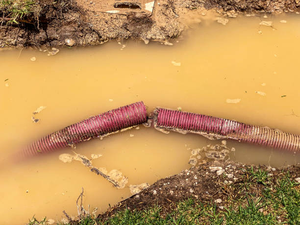 Best Emergency water damage restoration  in Lovington, IL