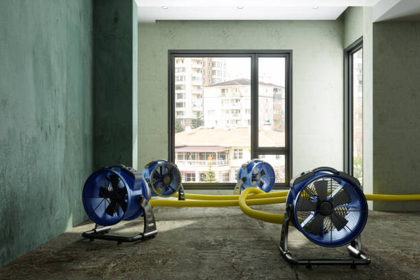 Best Professional water damage repair  in Lovington, IL