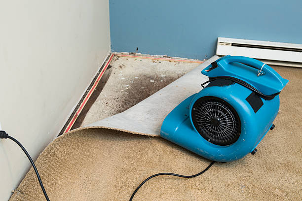 Best Fire Damage Restoration  in Lovington, IL